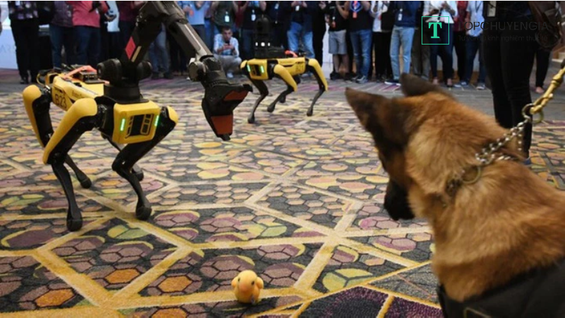 robot chó AI chơi bóng đá 